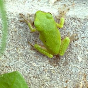 Meet your Posher, Robbin